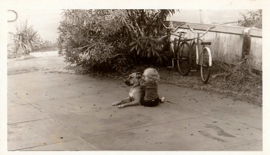 Image of "Conveying a sense of magic in the everyday" – Rozanna Lilley